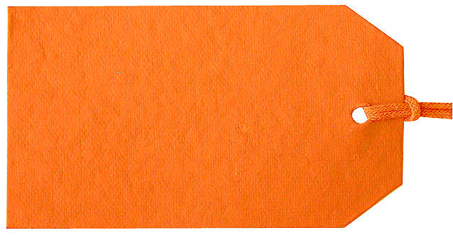 Orange Luggage Tag S/20